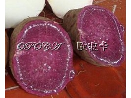 紫心地瓜(三公斤);
