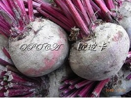嚴選甜菜根(三公斤);